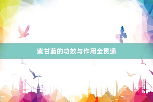 紫甘蓝的功效与作用全贯通
